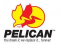 Pelican